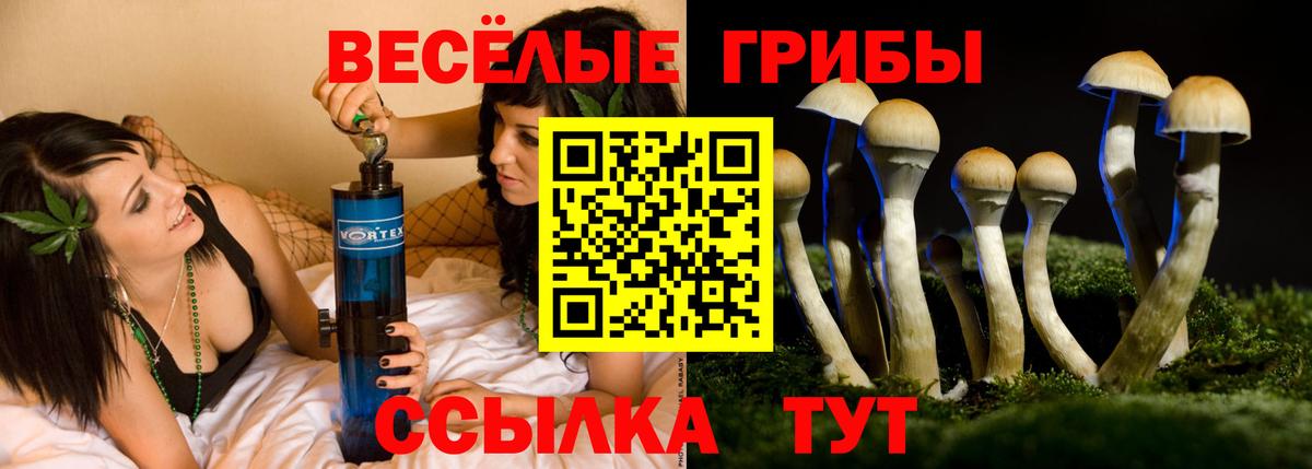 Вязьма  Галлюциногенные грибы Psilocybe  Вход с VPN  Псилоцибиновые грибы ЛСД 