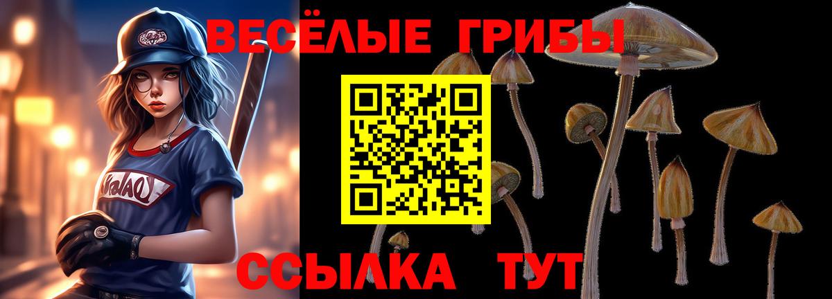 Галлюциногенные грибы GOLDEN TEACHER Вязьма